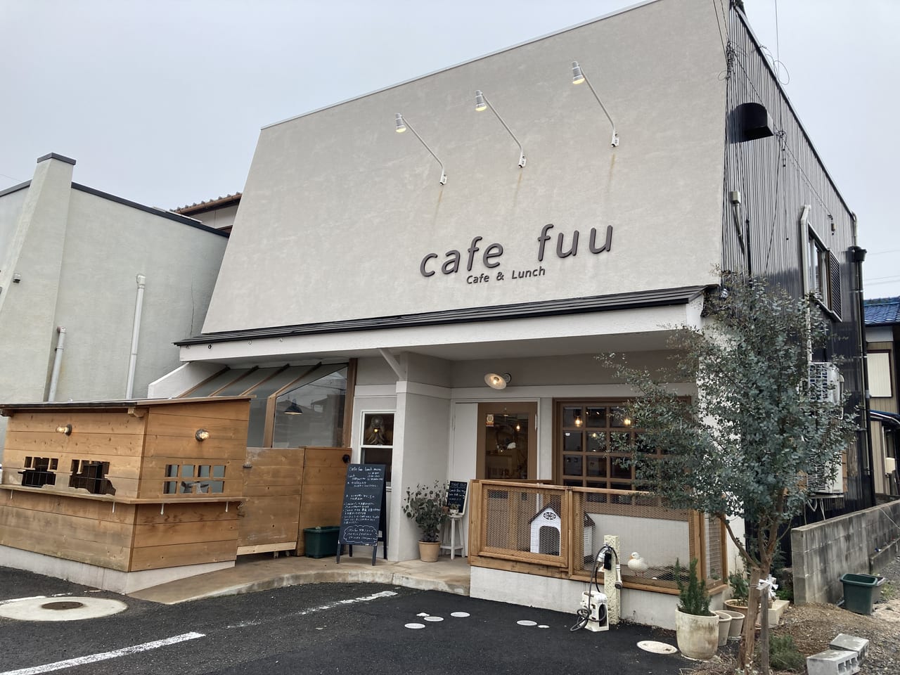 鈴鹿市 可愛いフクロウ達に会える ふくろうカフェfuku Fuku が3月1日にオープンです 号外net 鈴鹿市 亀山市