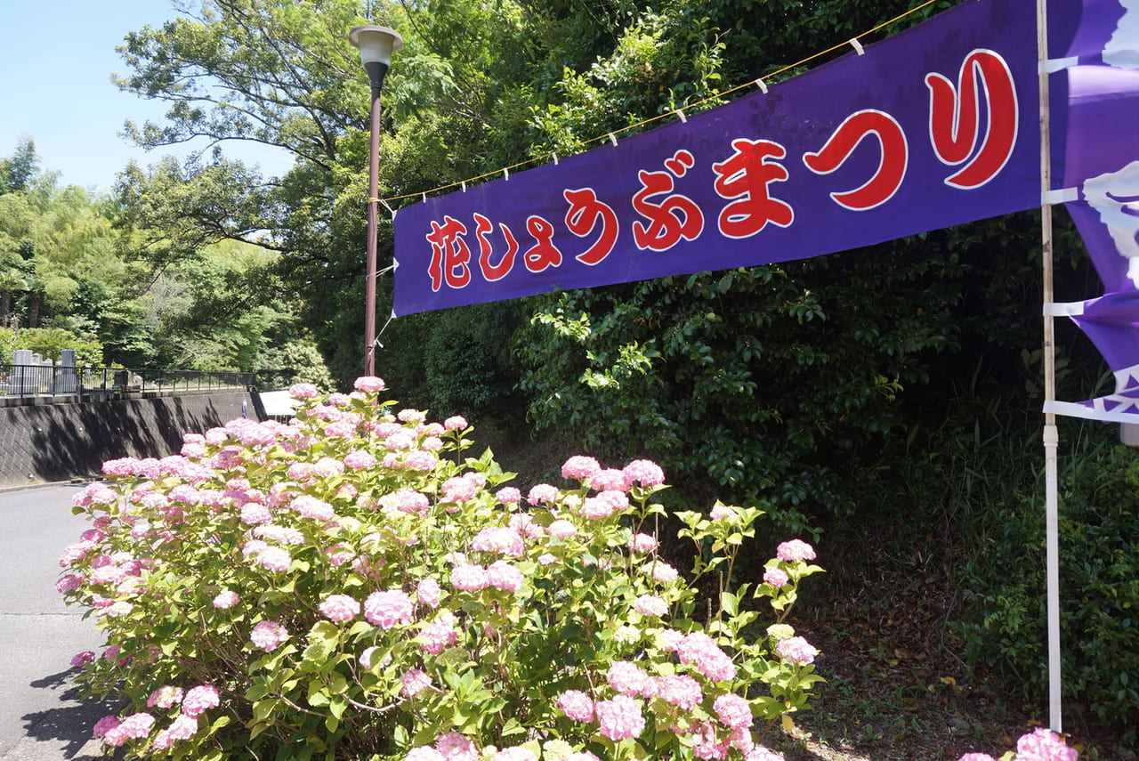 亀山菖蒲園