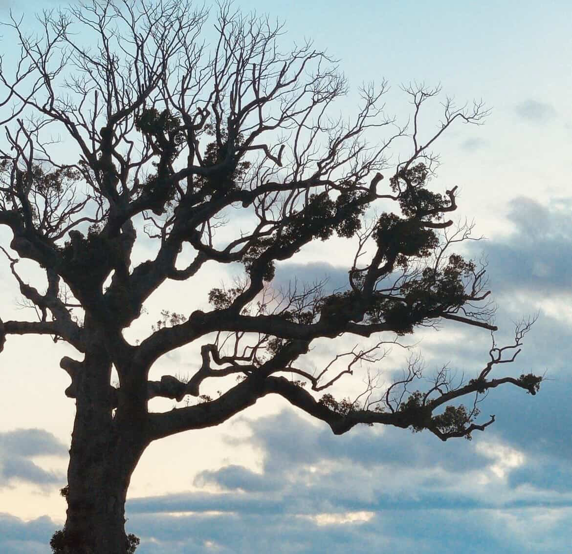 長太ノ浦小さな商店街