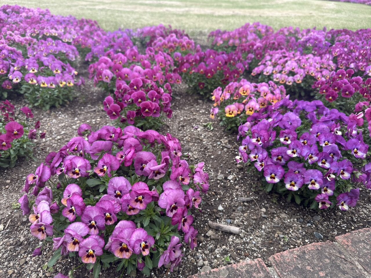 鈴鹿フラワーパーク