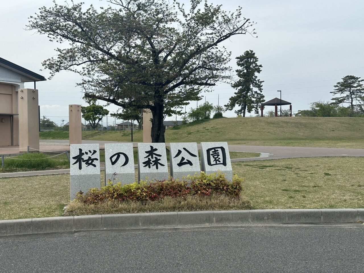 桜の森公園