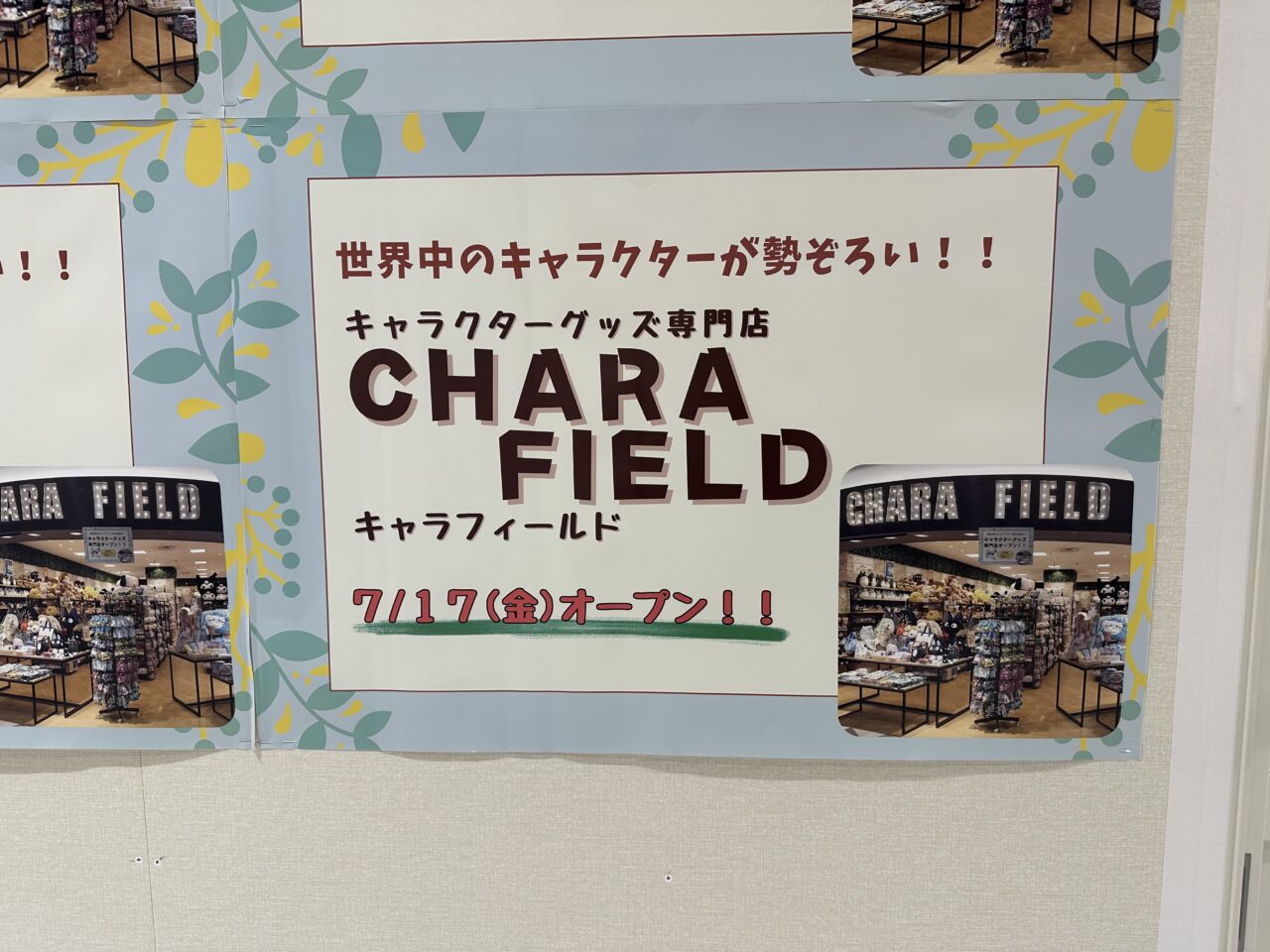 CHARA FIELD